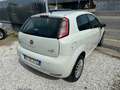 Fiat Punto Punto 3p 1.4 natural power Easy 70cv Blanc - thumbnail 4