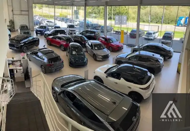 DS Automobiles DS 3 E-TENSE Opera