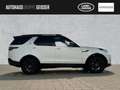 Land Rover Discovery D250 AWD R-DYNAMIC SE AHK ACC Weiß - thumbnail 6