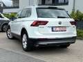 Volkswagen Tiguan 4Motion*Garantie*Pano*LED*Virtual*Kamera Weiß - thumbnail 4