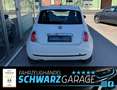 Fiat 500 Pop*KLIMA*ALLWETTER*TÜV-2027* Wit - thumbnail 11