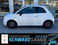 Fiat 500 Pop*KLIMA*ALLWETTER*TÜV-2027* Wit - thumbnail 4