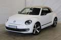 Volkswagen Beetle Cabriolet 1.2 TSI 105pk Exclusive Series Navigatie Wit - thumbnail 4