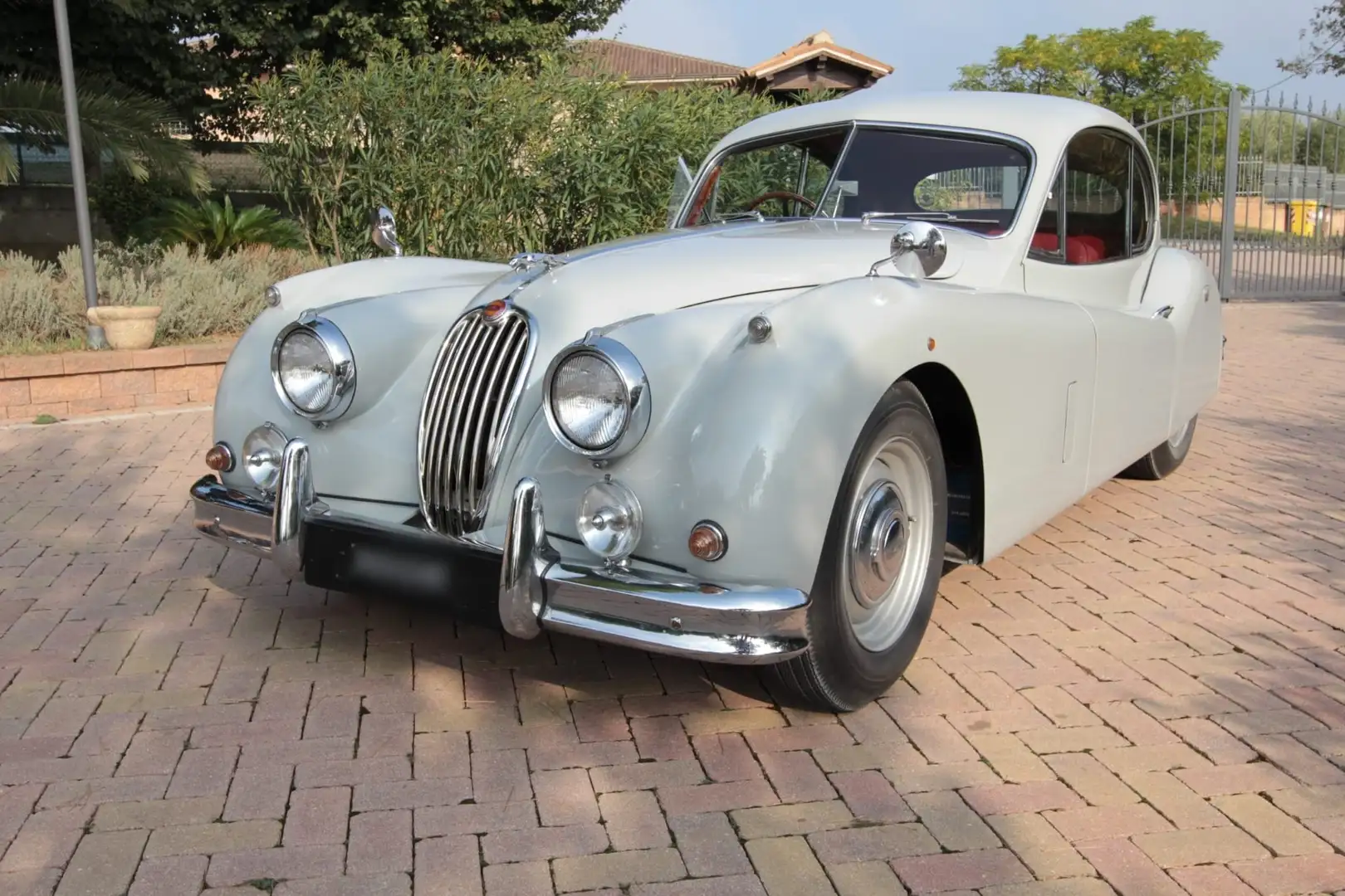 Jaguar XK Grigio - 1