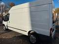 Ford Transit Kasten FT 350L*STANDHEIZUNG*KLIMA* Bianco - thumbnail 13
