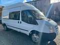 Ford Transit Kasten FT 350L*STANDHEIZUNG*KLIMA* Bianco - thumbnail 4