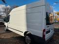 Ford Transit Kasten FT 350L*STANDHEIZUNG*KLIMA* Bianco - thumbnail 12
