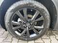 Mazda CX-30 2.5L e-SKYACTIV G FWD Homura Grau - thumbnail 9