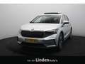 Skoda Enyaq iV 60 SOH 94% | Warmtepomp | Panoramadak | Camera Grau - thumbnail 1