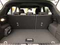 Ford Puma 741 Puma 1.0 EcoBoost Hybrid MHEV Autom. ST-Line Gris - thumbnail 14