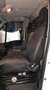 Iveco Daily 35c15 sponda idraulica - thumbnail 2