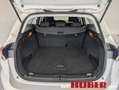 Fiat Tipo 1.4 - thumbnail 22