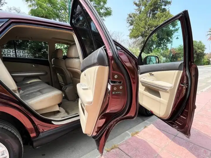 Lexus RX 2008, foto 17