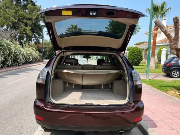 Lexus RX 2008, foto 21
