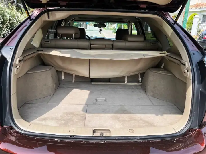 Lexus RX 2008, foto 22