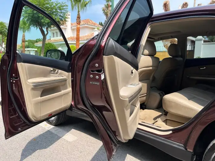 Lexus RX 2008, foto 18