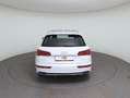 Audi Q5 2.0 TDI Sport Weiß - thumbnail 6