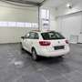 SEAT Ibiza ST Chili-Copa 1,6 TDI CR DPF Weiß - thumbnail 3