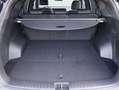 Kia Sorento 1.6 T-GDI Plug-in Hybrid 4WD ExecutiveLine 5p. Dea Gris - thumbnail 13