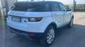 Land Rover Range Rover Evoque Range Rover Evoque Bianco - thumbnail 3