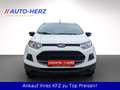 Ford EcoSport AUTOMATIK Klima+PDC+Navi+Allwetter Beyaz - thumbnail 4
