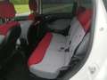 Fiat 500L 500L 1.4 16V Easy - thumbnail 11