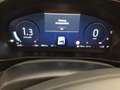 Ford Focus ST X LED Navi Kamera Vert - thumbnail 5