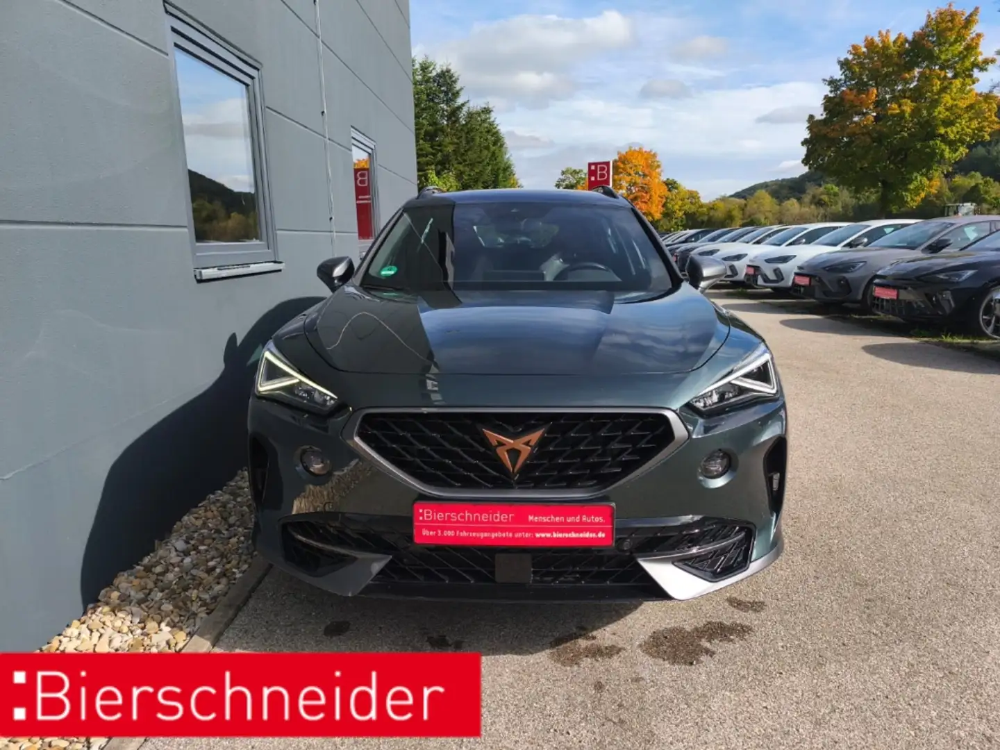 CUPRA Formentor 2.0 TSI DSG 4Drive VZ eSitz Beats Navi Grün - 1