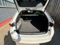 Skoda Octavia Combi First Edition LED NAVI SHZ STANDHE Blanc - thumbnail 21