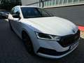 Skoda Octavia Combi First Edition LED NAVI SHZ STANDHE Blanc - thumbnail 2