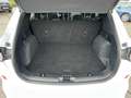 Ford Kuga Plug-In Hybrid ST-Line X WINTER,-TECHNOLOGIE-PAKET Weiß - thumbnail 12
