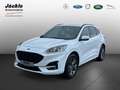 Ford Kuga Plug-In Hybrid ST-Line X WINTER,-TECHNOLOGIE-PAKET Weiß - thumbnail 1