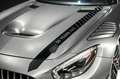 Mercedes-Benz AMG GT AMG GT3 Edition 50 *1of5* Grey - thumbnail 9