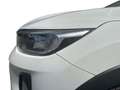 Kia Stonic Stonic 1.4 MPI EcoGPL Energy Alb - thumbnail 9