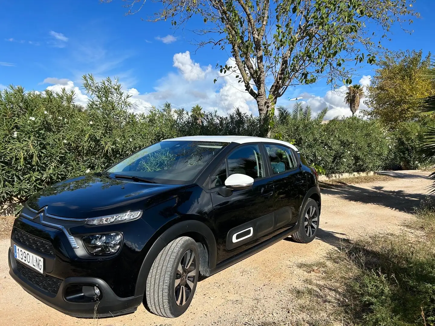 Citroen C3 Pure Tech 83 S&S FEEL - 2