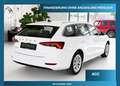 Skoda Octavia Style DSG Vitrual Tacho-Kamera-ACC Weiß - thumbnail 3