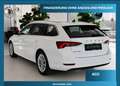 Skoda Octavia Style DSG Vitrual Tacho-Kamera-ACC Weiß - thumbnail 4