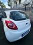 Ford Ka/Ka+ Ka 1.2 8V 69CV Bianco - thumbnail 3
