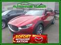 Mazda CX-30 G140 TAKUMI AUT Rot - thumbnail 1