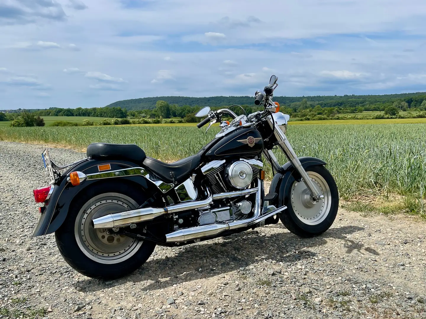 Harley-Davidson Fat Boy FLSTF "Terminator" Nero - 2
