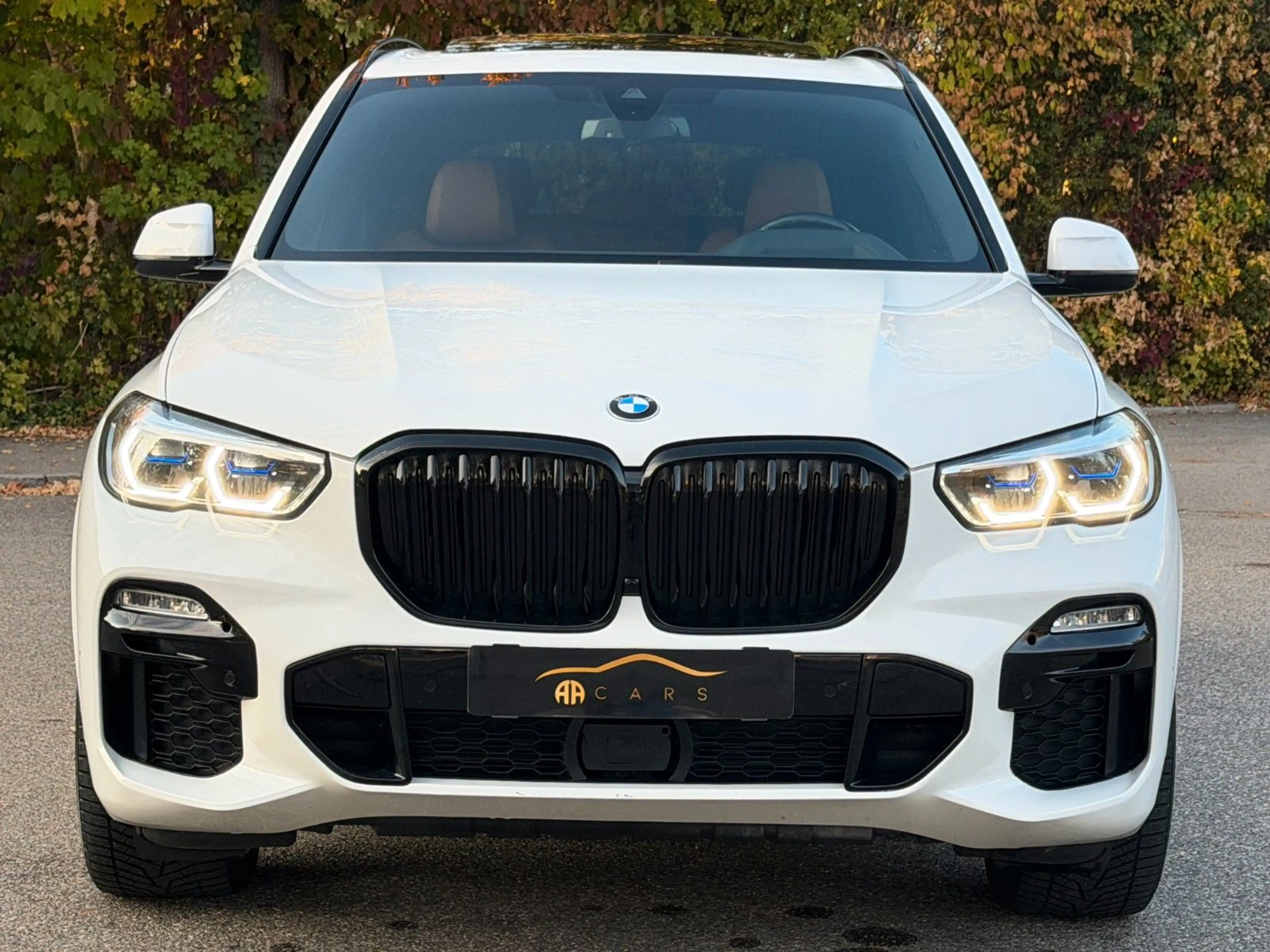 BMW X5 xDrive 30 d M Sport Panorama Standhei AHK — photo 14