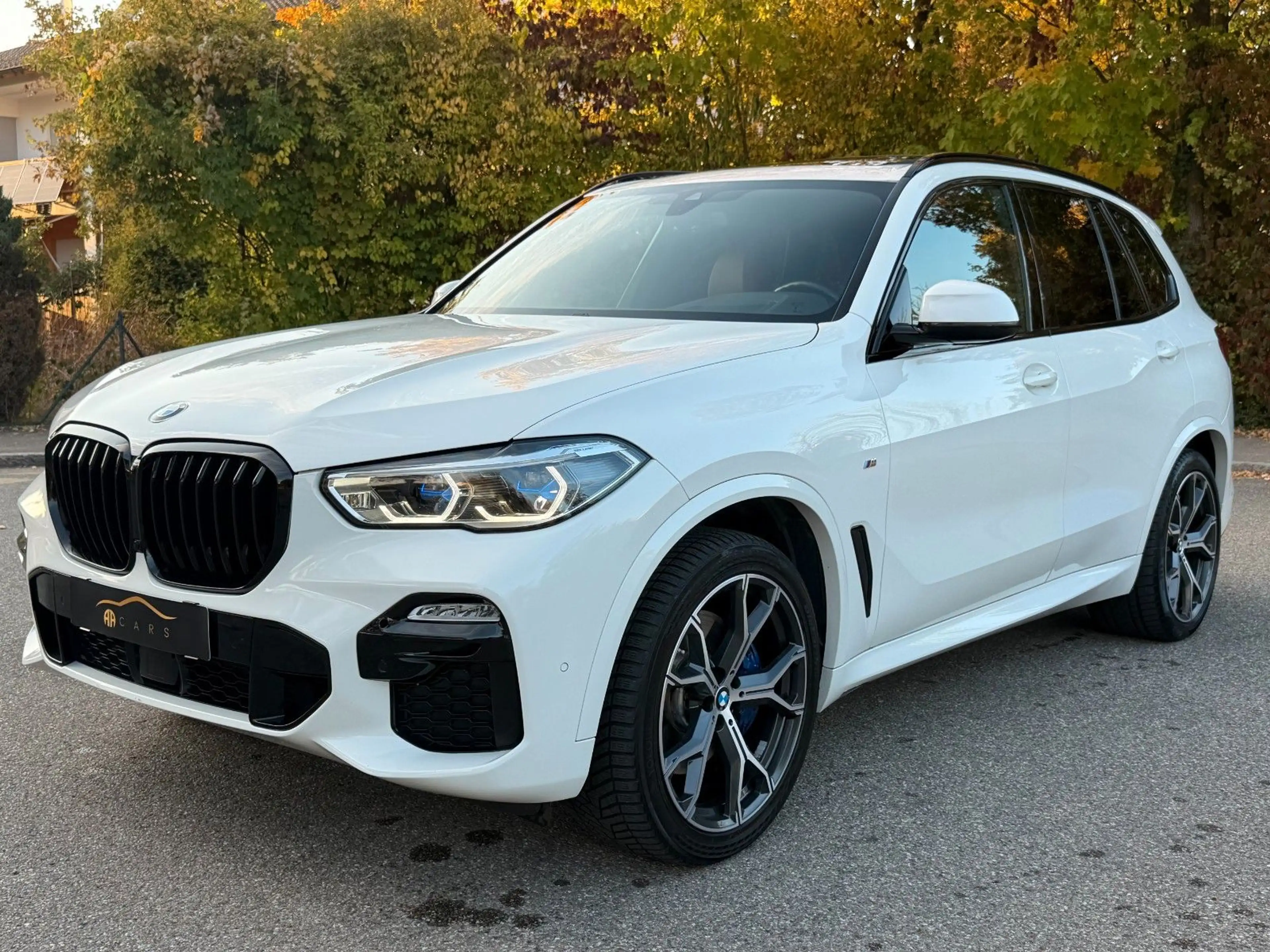BMW X5 xDrive 30 d M Sport Panorama Standhei AHK