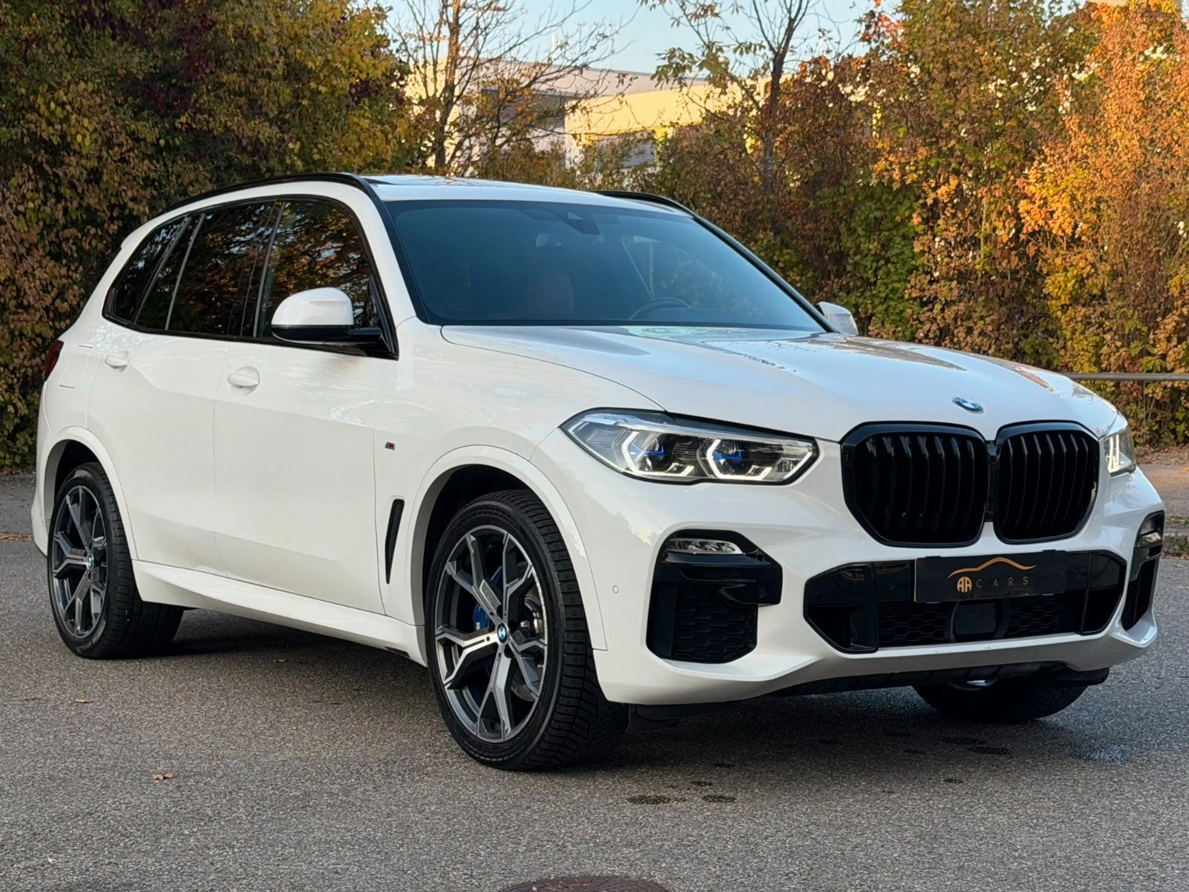 BMW X5 xDrive 30 d M Sport Panorama Standhei AHK — photo 13