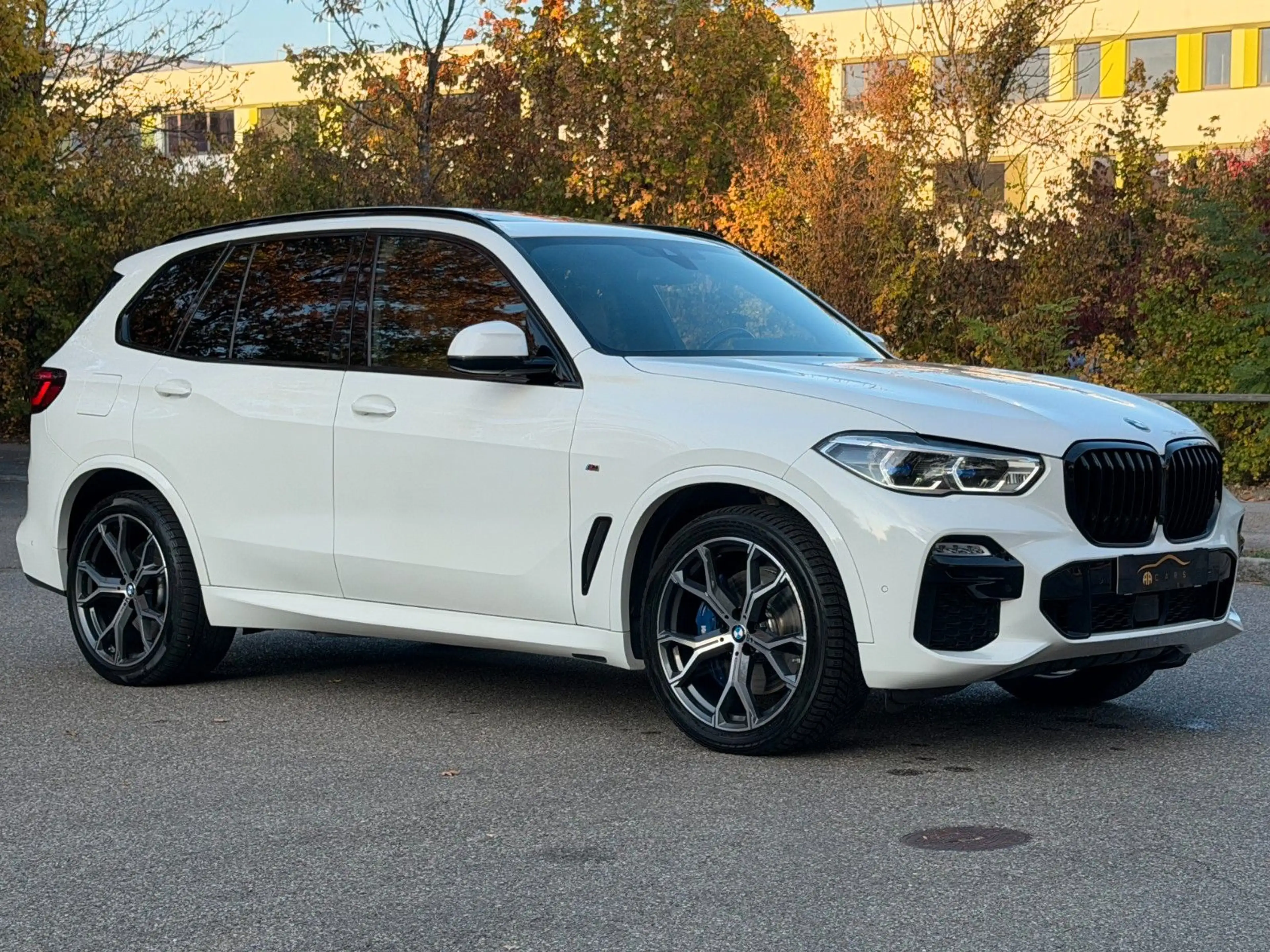 BMW X5 xDrive 30 d M Sport Panorama Standhei AHK — photo 10