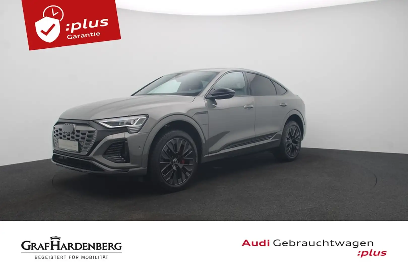 Audi Q8 Sportback e-tron 50 quattro S line LED Navi Grau - 1