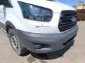 Ford Transit 2.0 tdci 130cv 4x4 entry L2 E6 Bianco - thumbnail 20