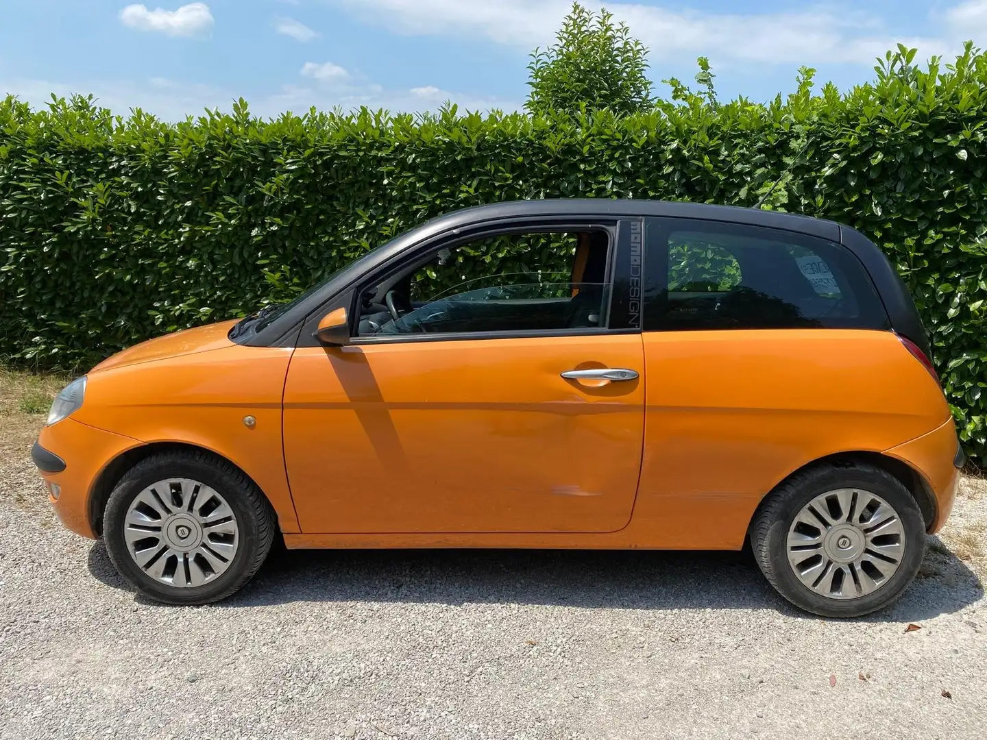 Lancia Ypsilon Ypsilon 1.2 8v MomoDesign - 2