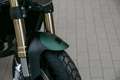 Benelli Leoncino 800 , sofort lieferbar, Lieferservice Zöld - thumbnail 9
