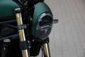 Benelli Leoncino 800 , sofort lieferbar, Lieferservice Zöld - thumbnail 7