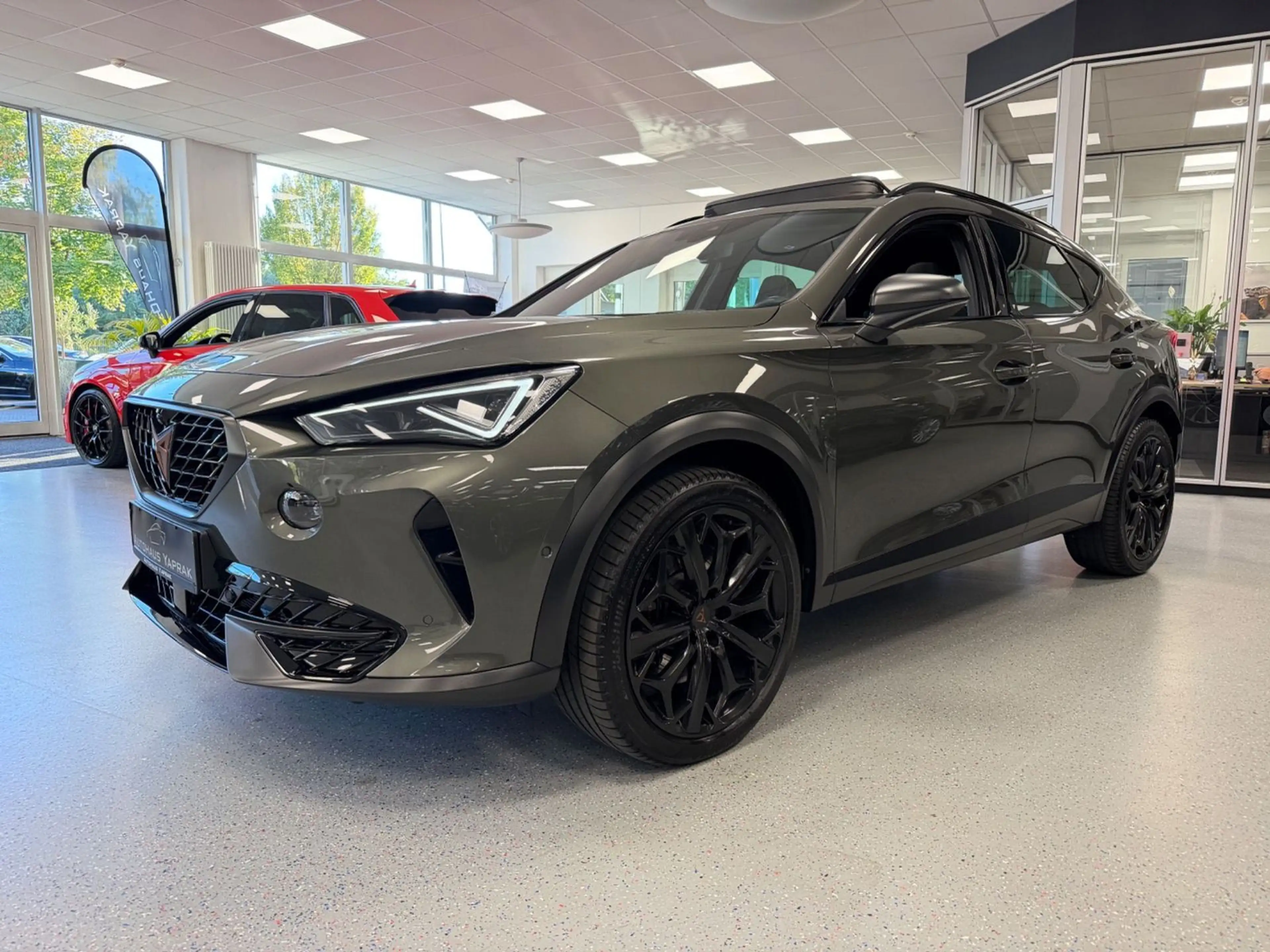 CUPRA Formentor 2.0 TSI VZ Tribe Edition|1HD|AHK|Pano| — photo 5